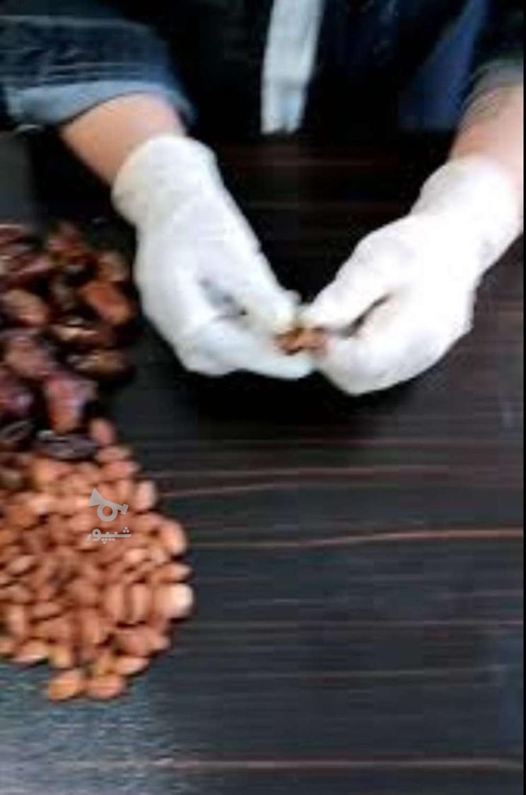 کار بسته بندی - Jan Mohammedi