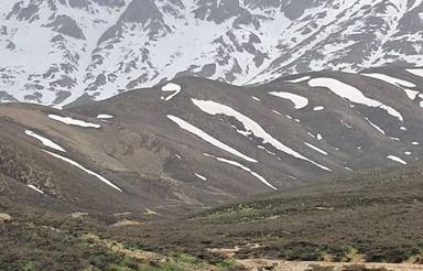 مشارکت سرمایه گذار .