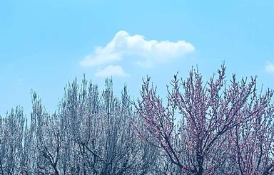 زمین ویلایی هشتگرد قدیم