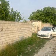 1000متر مخصوص خونه باغ کنار امتیازات جفت خونه باغهاجاده بابل