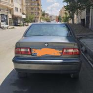 سمند خاکستری