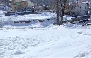 فروش زمین مسکونی 236 متری در شورمست