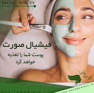 ورکشاپ اموزش پاکسازی فیشال 18خرداد