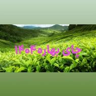 چای بهاره1404