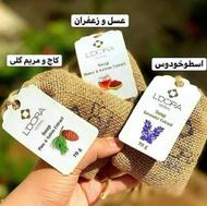 فروش انواع پن صورت