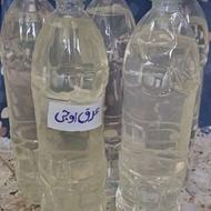 عرق پونه یا اوجی