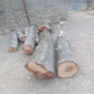 چوب گردو تیر سقفی