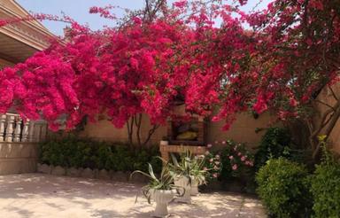 فروش ویلا 221 متر در مرکز شهر