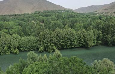 ویلا روزانه .
