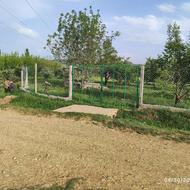 فروش باغ جوان (10 ساله)
