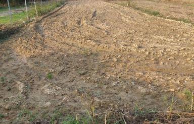 فروش 350 متر زمین واقع در روستای خورشید