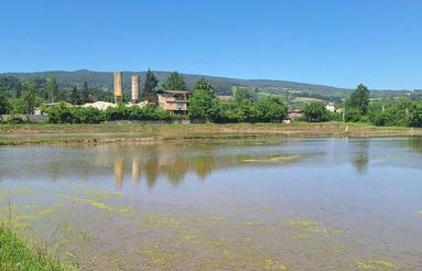 فروش زمین کشاورزی 2000 متر در ترم