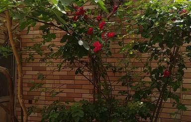 فروش منزل ویلایی دو طبقه