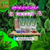 کودکشاورزی هیومیک گوگرد سه بیست