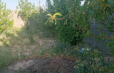 فروش باغچه در روستای زاخرد