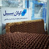 پوشال پدسلولزی