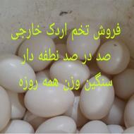 تخم اردک خارجی