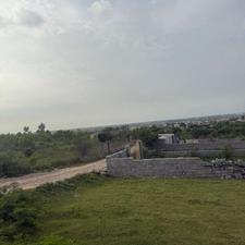 زمین 200 متری جنگلی