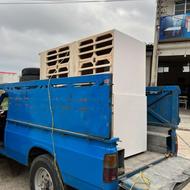 جفت کن کبوتر پرشی ، زینتی، گنجه لاری در خدمتم