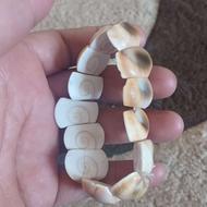مهره مار اصل