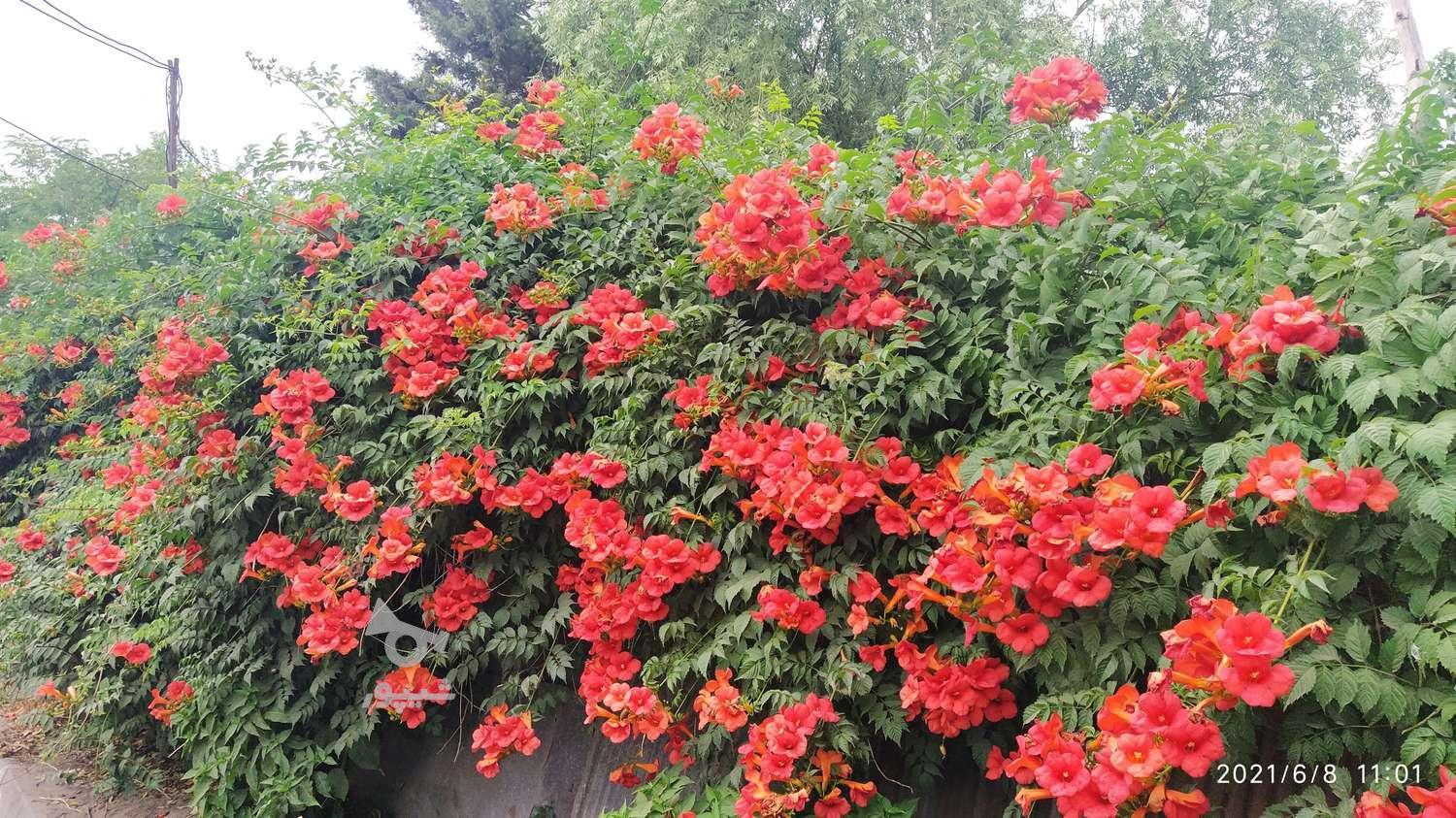 دنبال شغل سرایداری و حراست و نگهبانی هستم - undefined