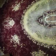 فرش 12 متری ماشینی. 700 شونه
