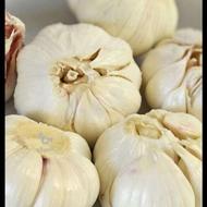 فروش سیرمحلی