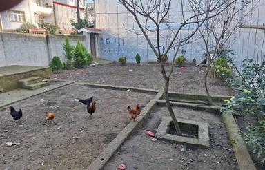 فروش زمین مسکونی
