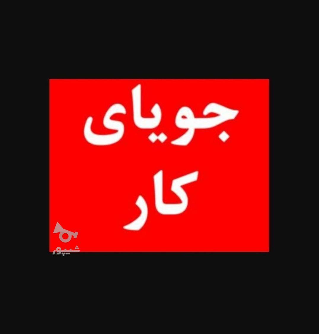 جویای کار هستم - شریفی