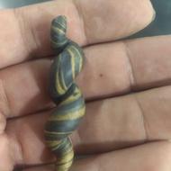 عررج سواحیلی