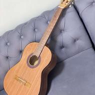 گیتار فروشی