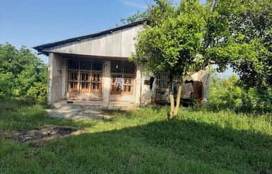 خانه باغ 1,350 متری در شیرگاه کتی لته