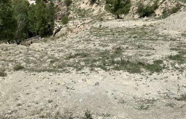 فروش زمین داخل بافت 232 متری در روستای نجفدر – فیروزکوه