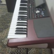 ارگ در حد نو نو