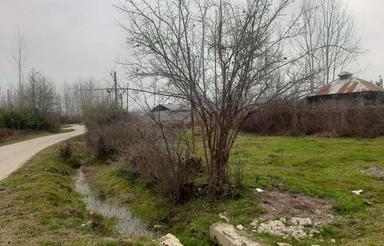 1250متر زمین در روستا اسد محله پاسکه