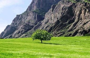 400 متر زمین زیر قیمت چنارستان علیا