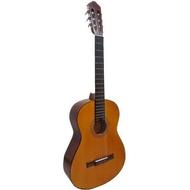 گیتار کلاسیک singer