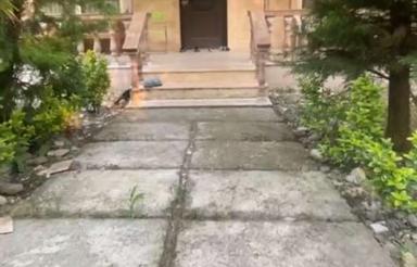 اجاره سالانه ویلا جنگلی