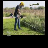 علف زنی توسط دستگاه