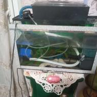 اکفاریوم درحد نو