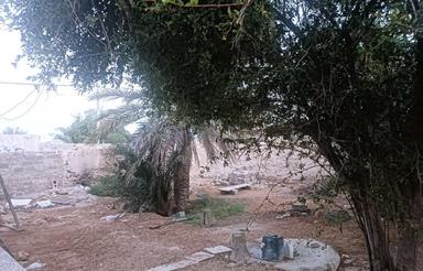 زمین روستایی بارچاه می باشد