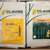 فروش بذر خیار الیور OLIVER F1 کلوز فرانسه