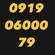 0919/06000/79