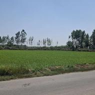 زمین کشاورزی در روستای کبوتردان
