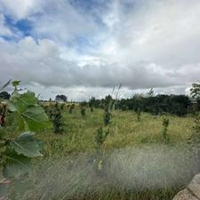 فروش و تهاتر زمین مسکونی در آهن کتی