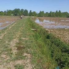 فروش زمین کشاورزی 25000 متر در لاله دشت