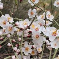 تدریس مکالمه و گرامر زبان انگلیسی