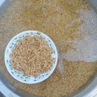 فروش تیم بینج طارم هاشمی
