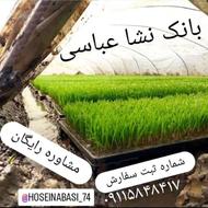 بانک نشا دستگاه نشا نشاکار تیم جعبه ای بذر سینی نشا