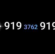 9193762919